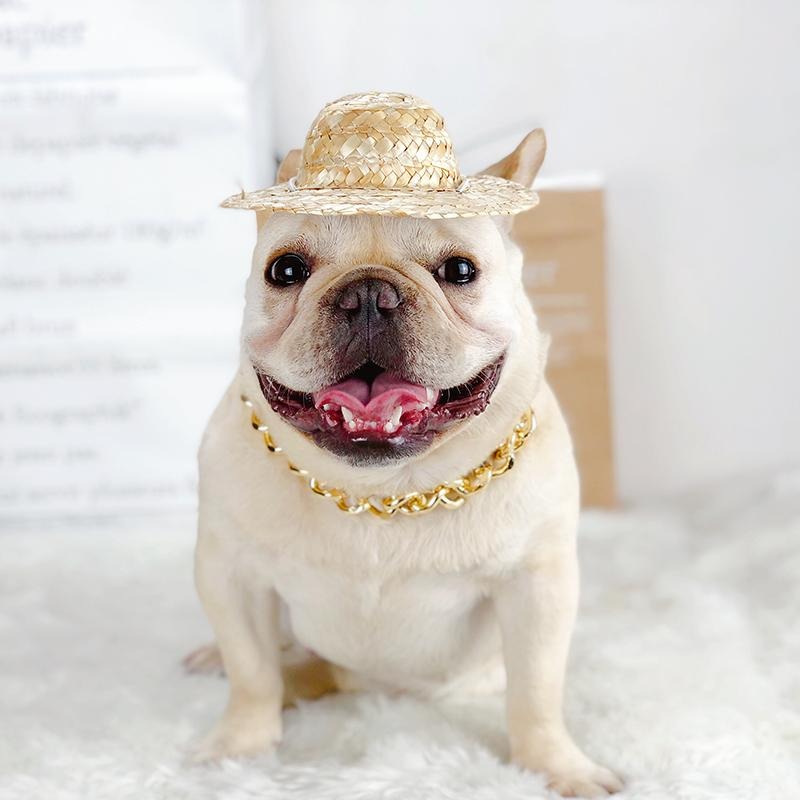 GlamBull-Frenchie-Gold-Necklace.jpg