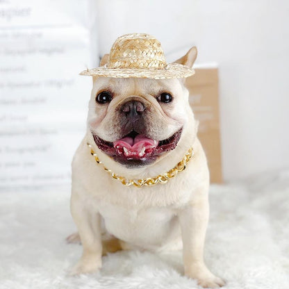 GlamBull-Frenchie-Gold-Necklace.jpg