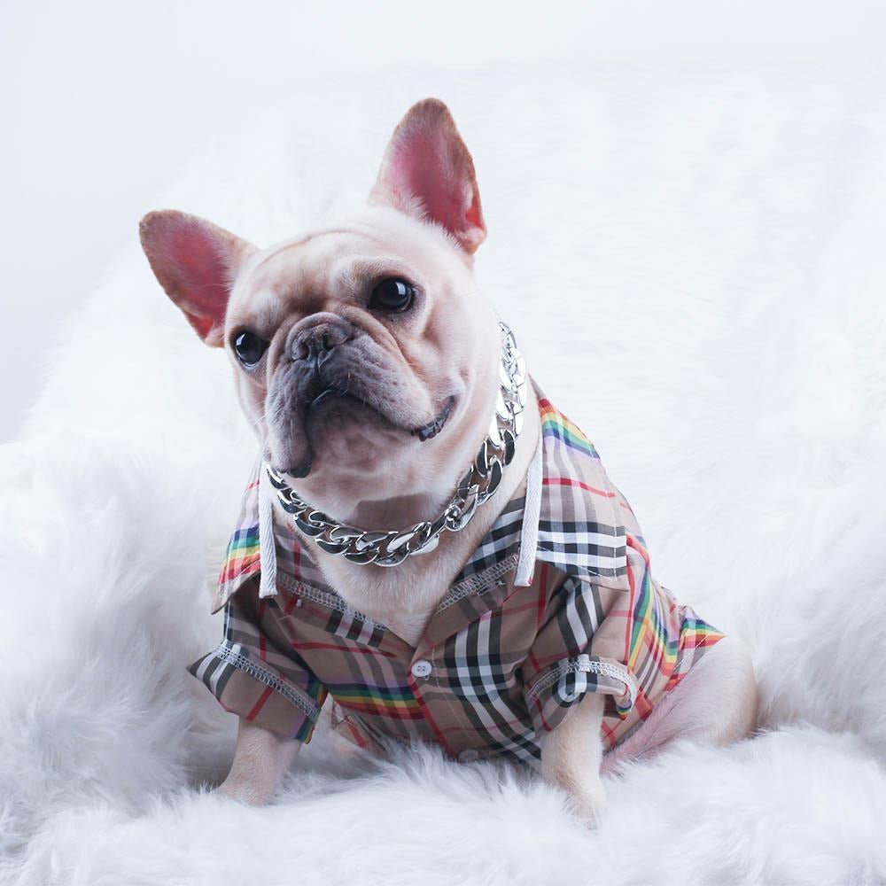 GlamBull Frenchie Gold Necklace – Stylish Plastic Jewelry Chain Collar