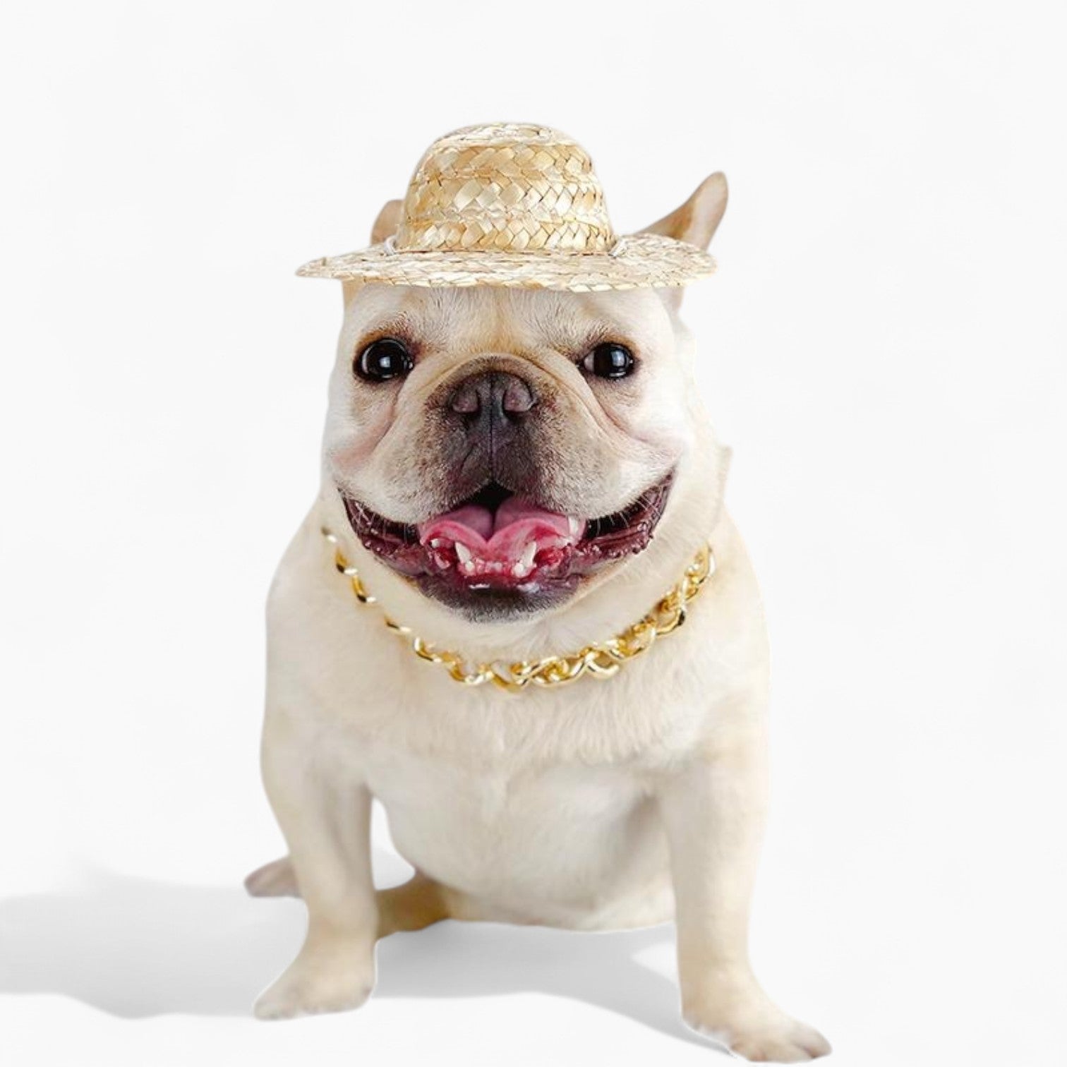 GlamBull-Frenchie-Gold-Necklace.jpg