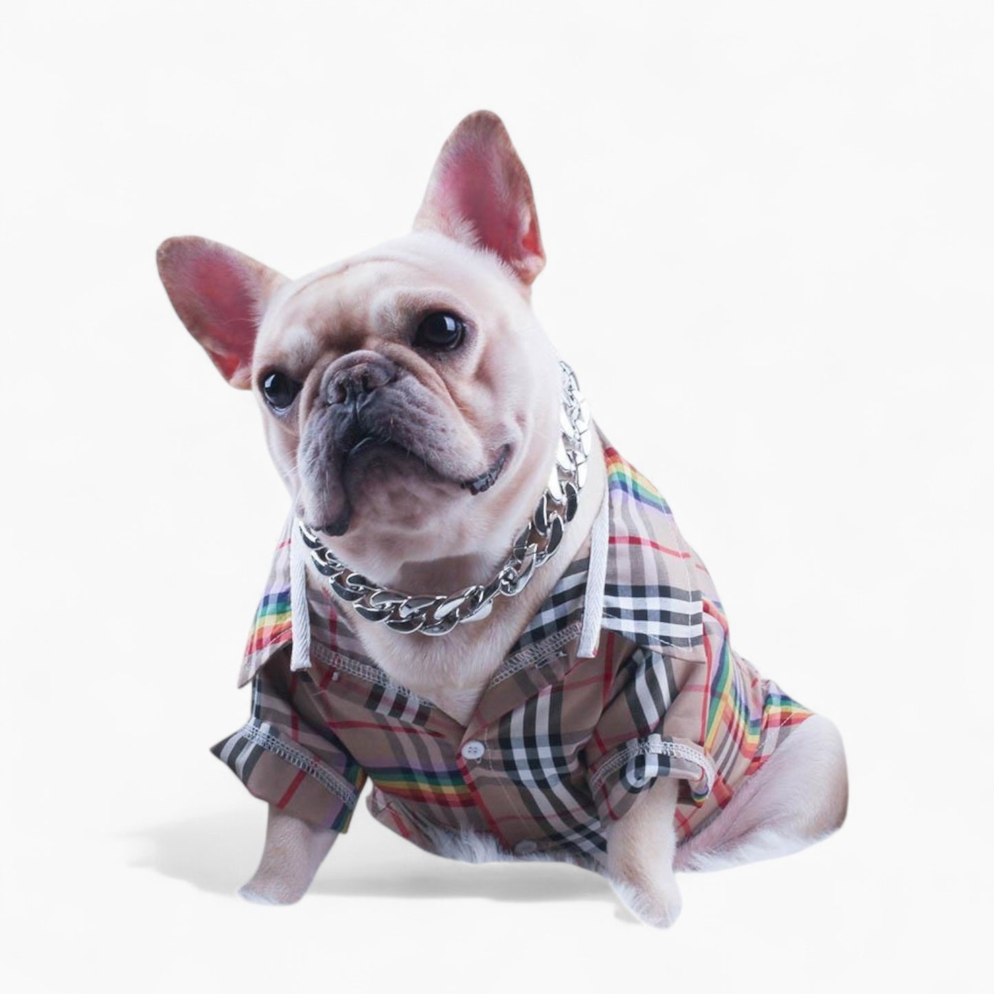 GlamBull-Frenchie-Gold-Necklace.jpg