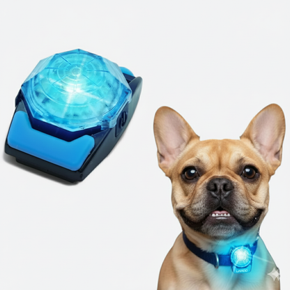 GlowPup™-French-Bulldog-LED-Collar.jpg