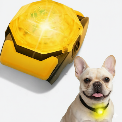 GlowPup™-French-Bulldog-LED-Collar.jpg