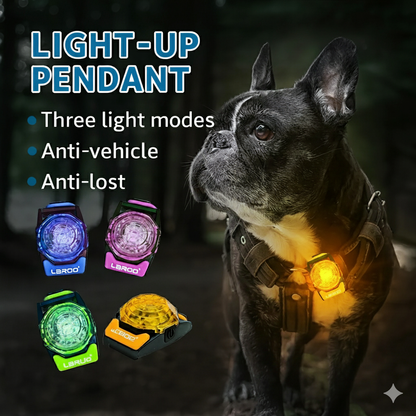 GlowPup™-French-Bulldog-LED-Collar.jpg