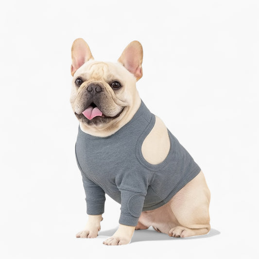 Guardix-Frenchie-Anti-Lick-Wound-Sleeve.jpg