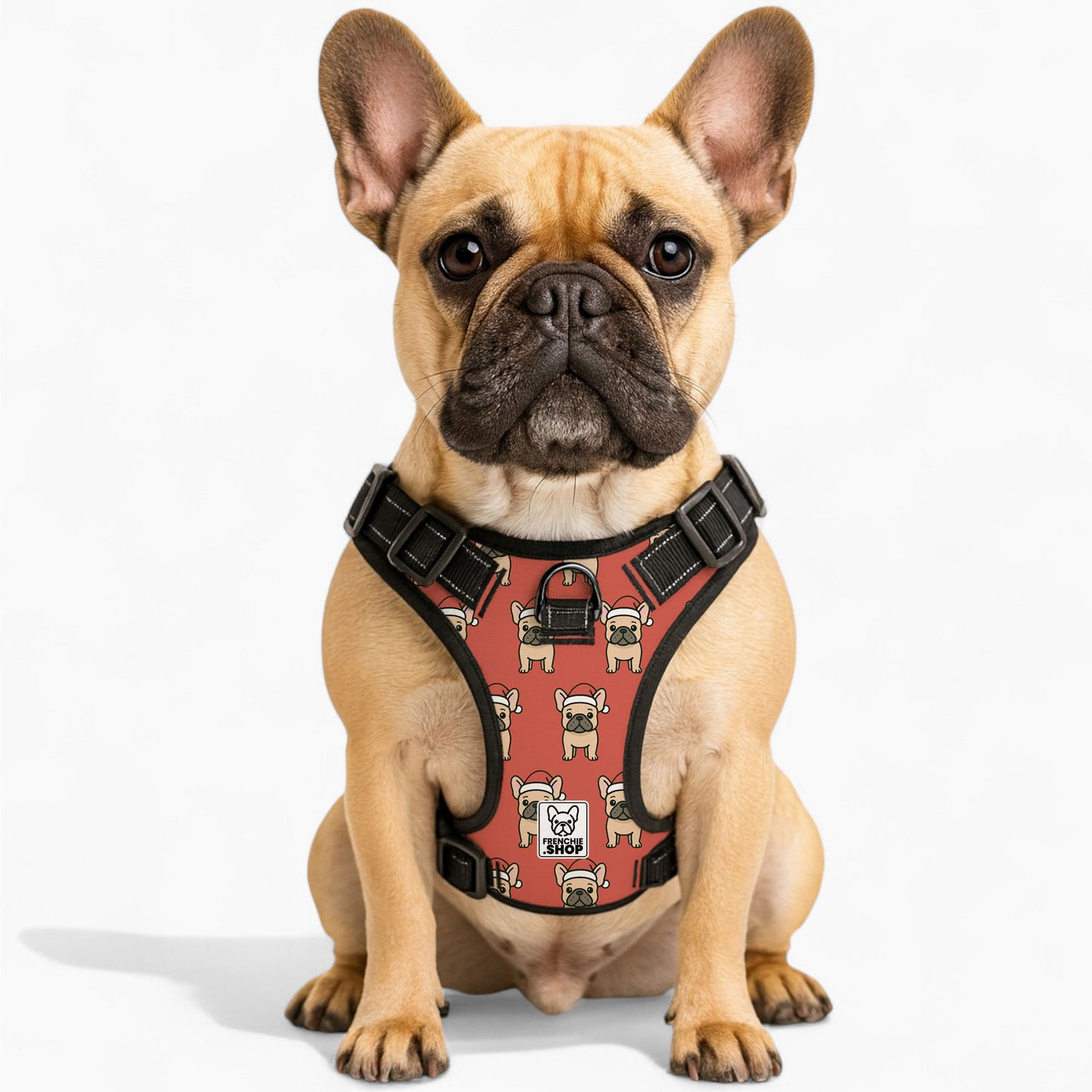 Maggie -  No-Pull French Bulldog Dog Harness