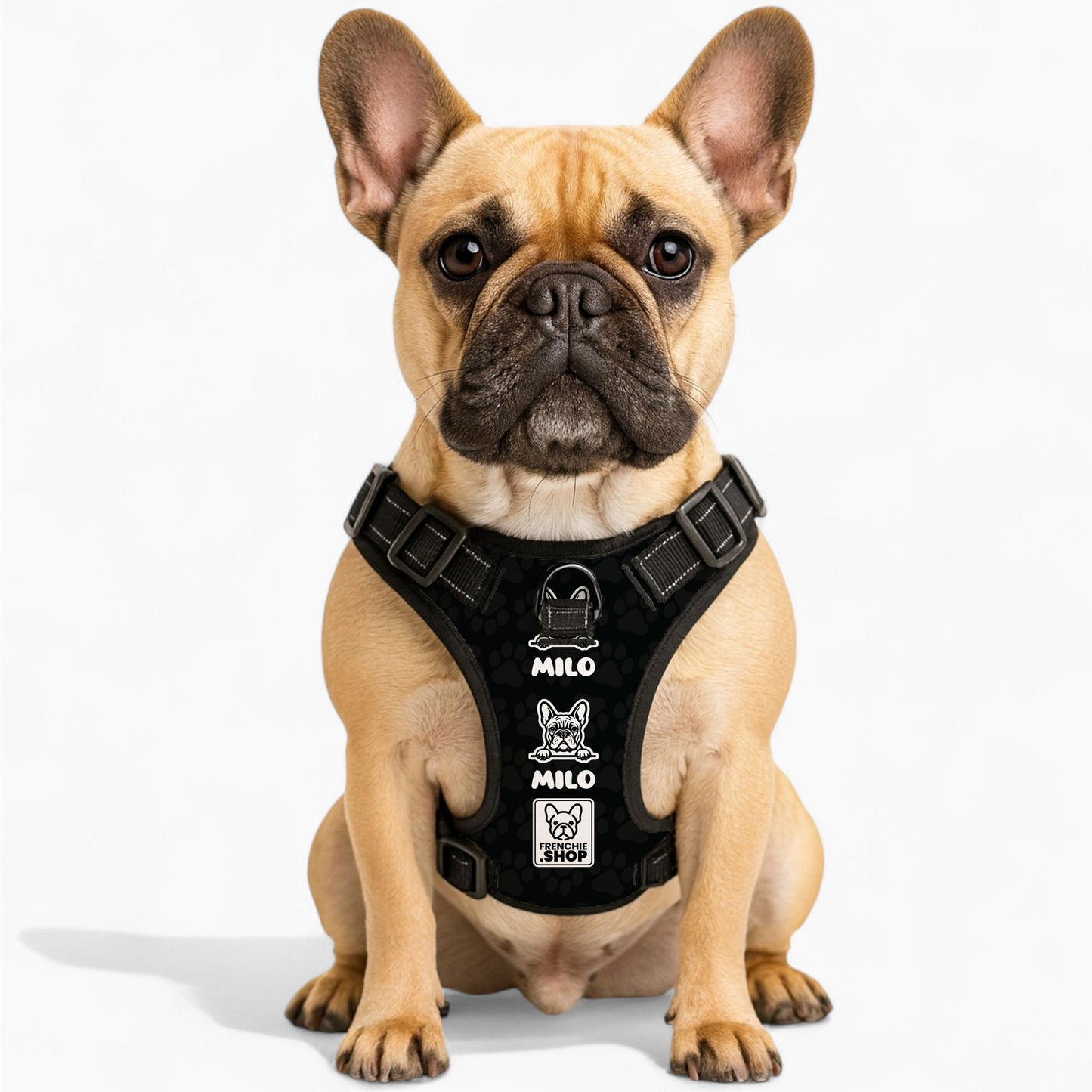 Winston - Personalized No-Pull French Bulldog Dog Harness