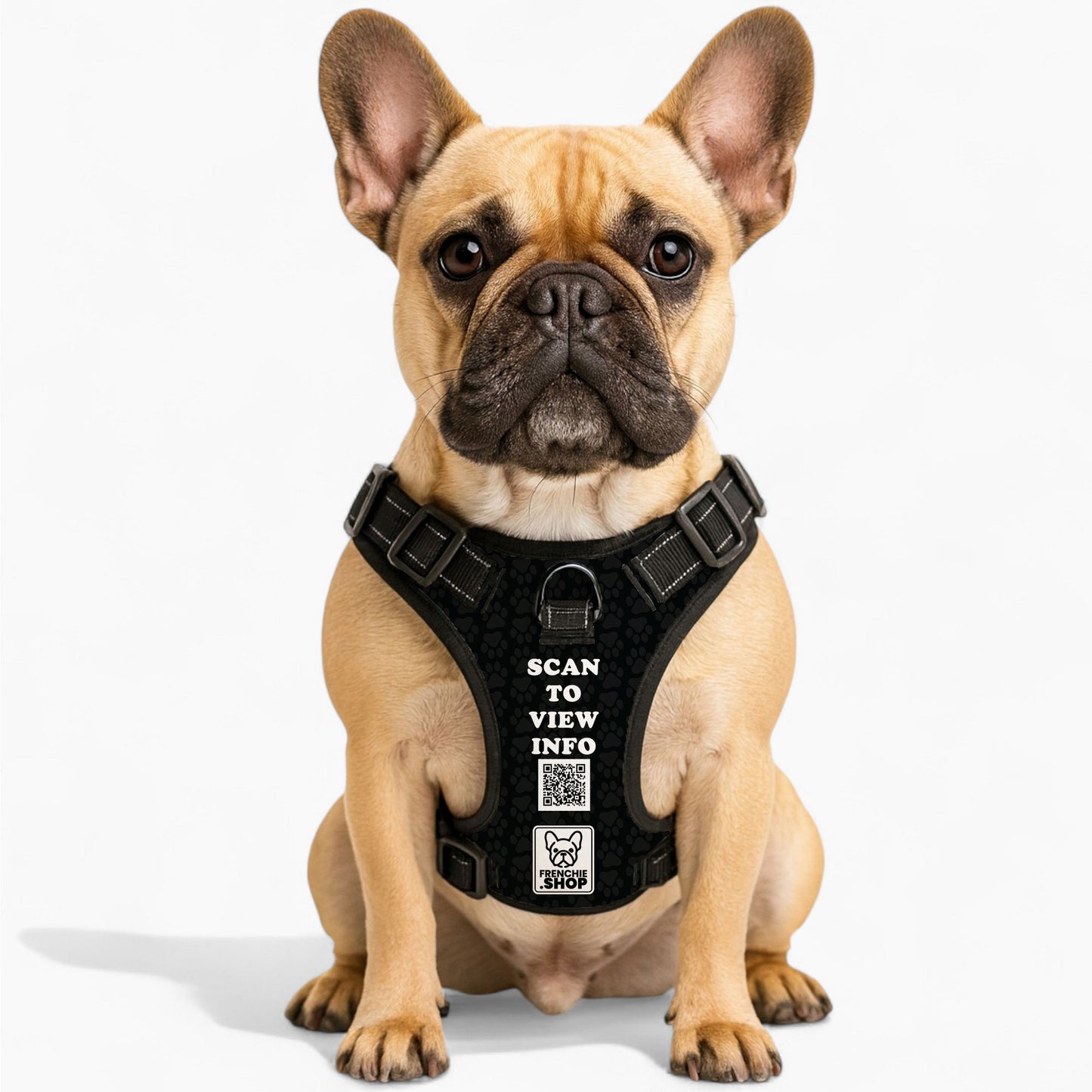 Gus - Personalized No-Pull French Bulldog Dog Harness