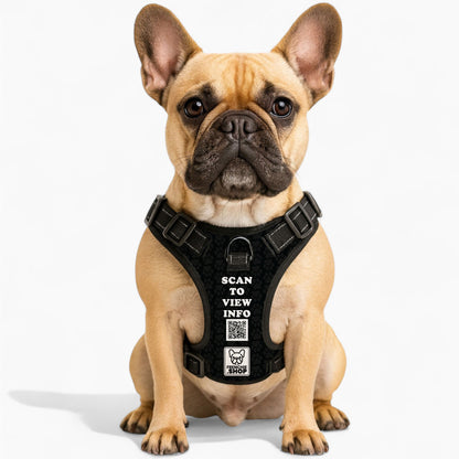Gus - Personalized No-Pull French Bulldog Dog Harness