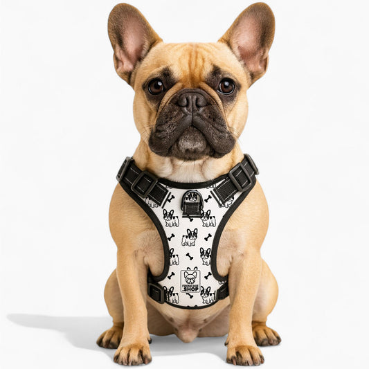 George -  No-Pull French Bulldog Dog Harness