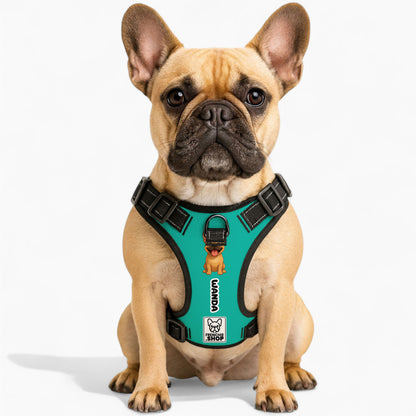 Bun - Personalized No-Pull French Bulldog Dog Harness