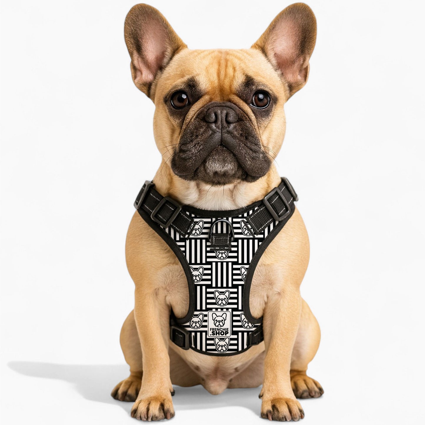 Minnie -  No-Pull French Bulldog Dog Harness
