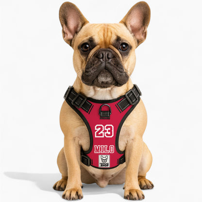 Magnolia - Personalized No-Pull French Bulldog Dog Harness