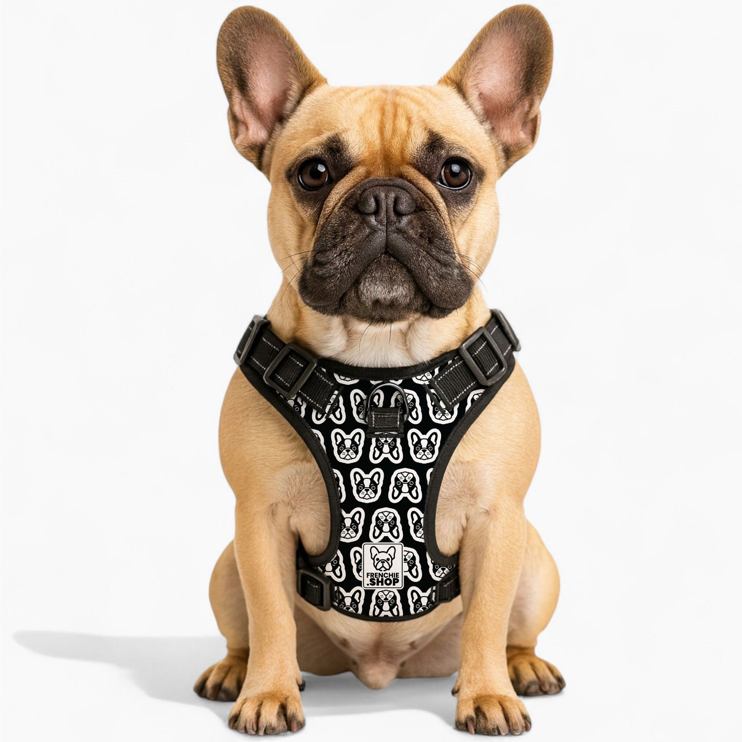 Cora -  No-Pull French Bulldog Dog Harness