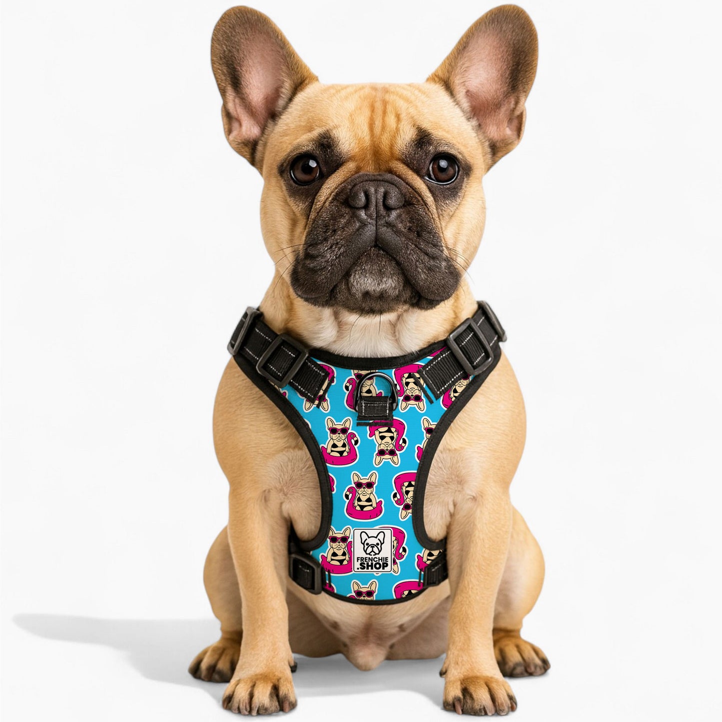 Papillon -  No-Pull French Bulldog Dog Harness