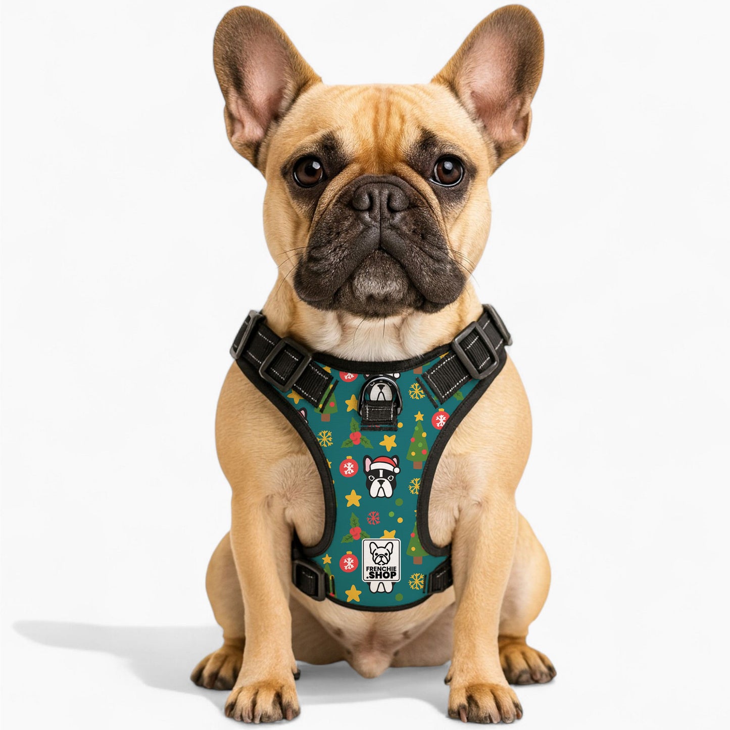 Charlie -  No-Pull French Bulldog Dog Harness