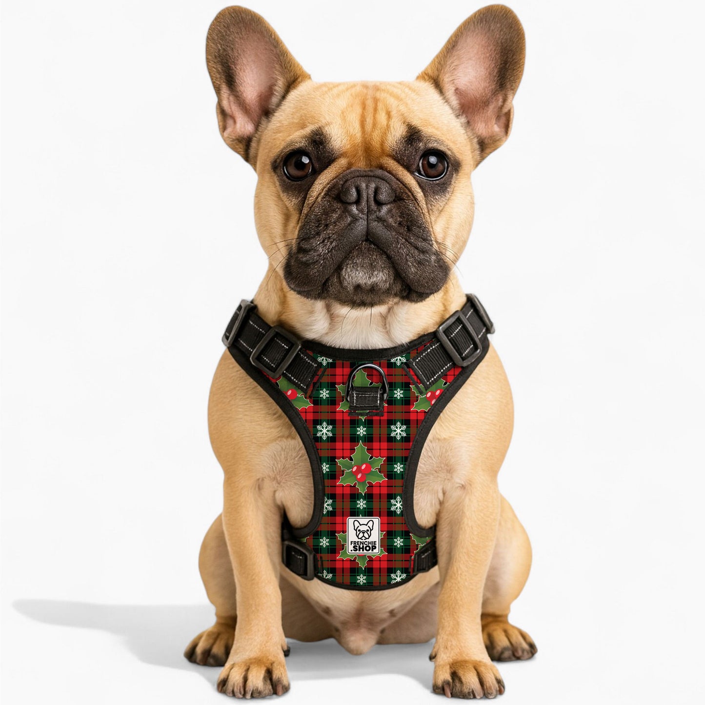 Chanel -  No-Pull French Bulldog Dog Harness