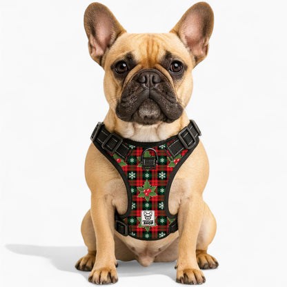 Chanel -  No-Pull French Bulldog Dog Harness