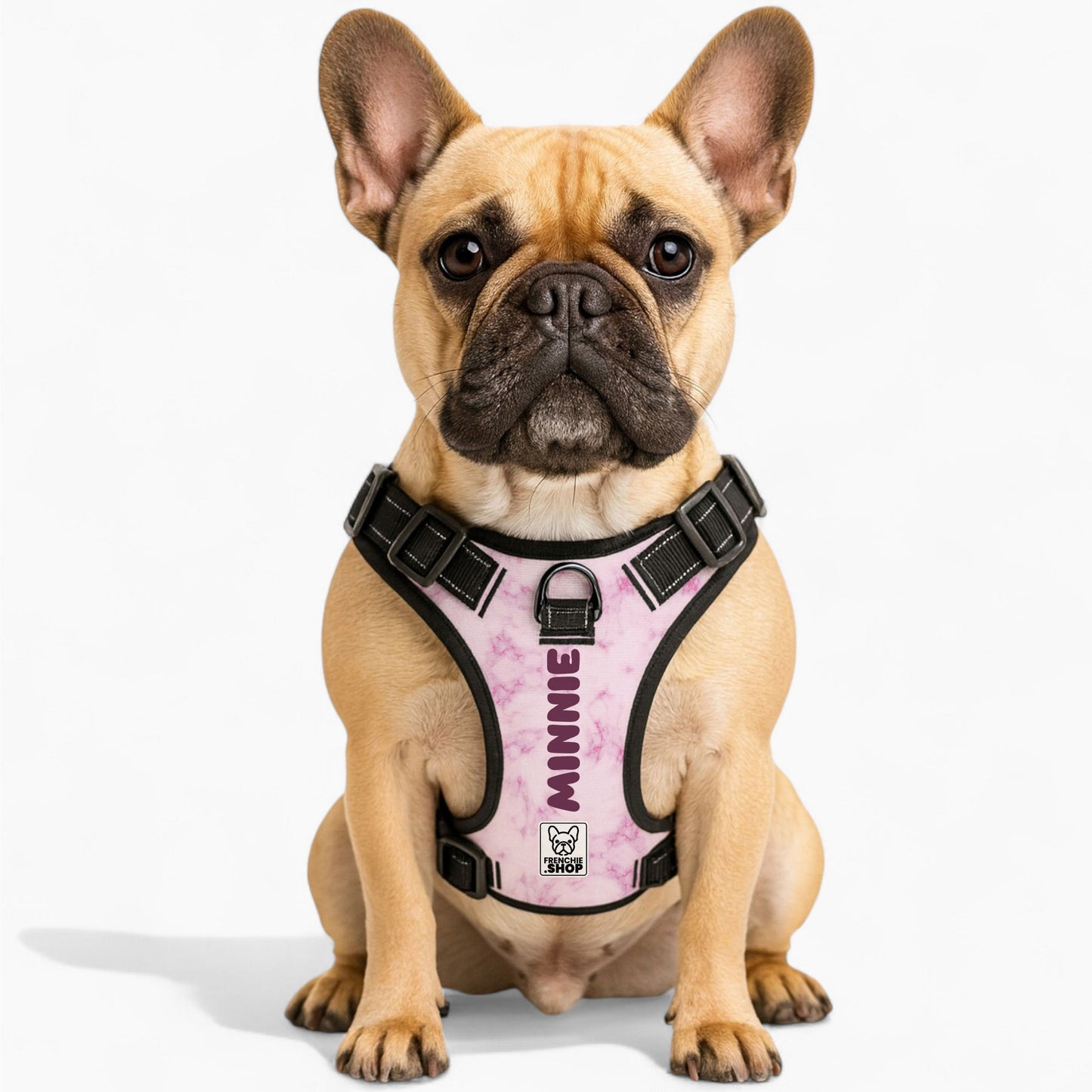 Herbie - Personalized No-Pull French Bulldog Dog Harness