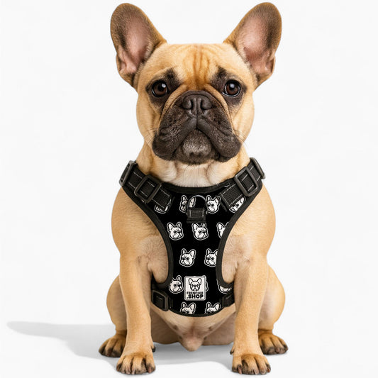 Madison -  No-Pull French Bulldog Dog Harness