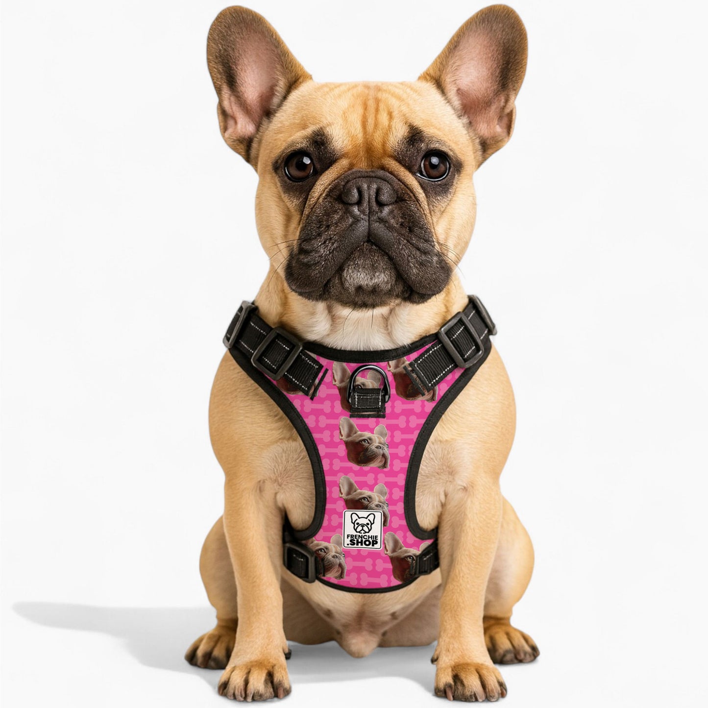 Quincy - Personalized No-Pull French Bulldog Dog Harness
