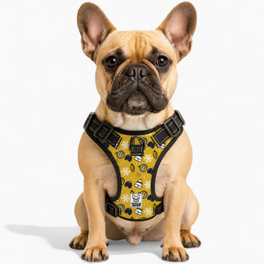 Callie -  No-Pull French Bulldog Dog Harness