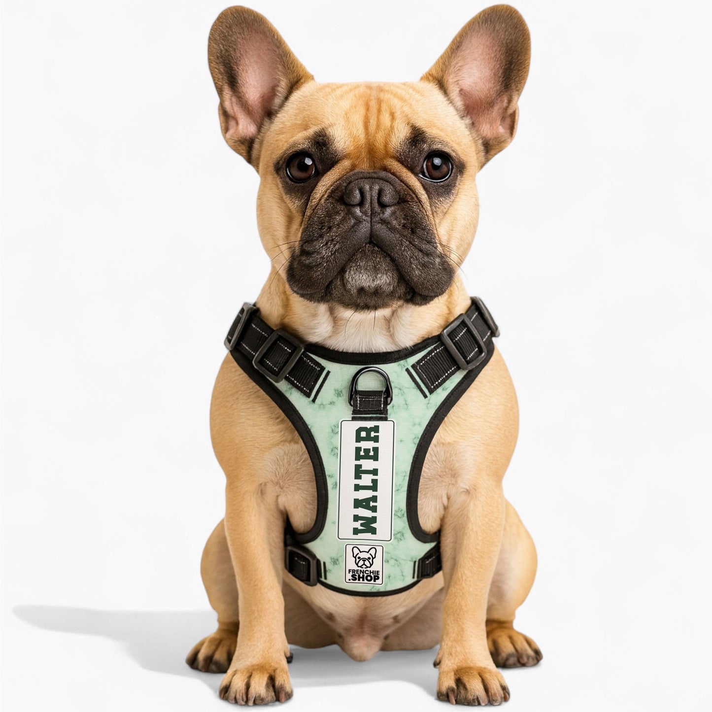 Willow - Personalized No-Pull French Bulldog Dog Harness