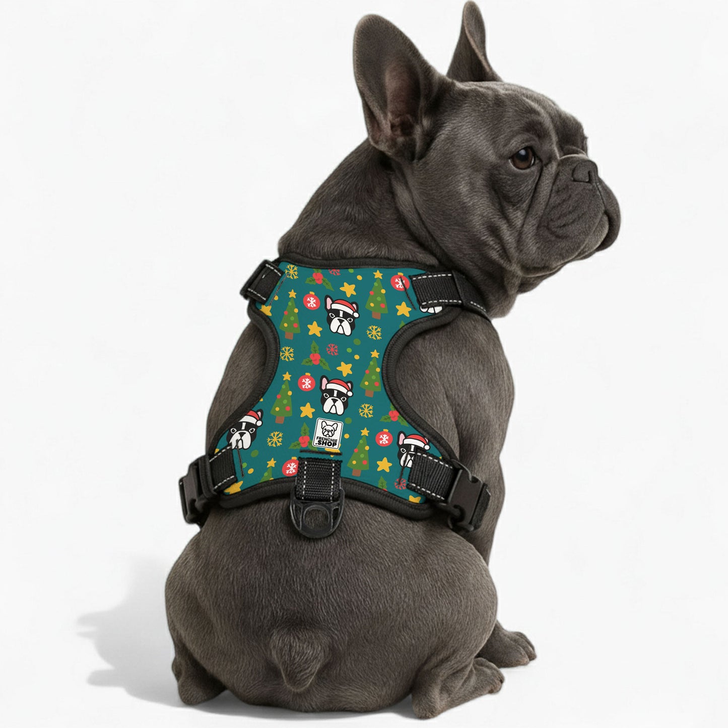 Charlie -  No-Pull French Bulldog Dog Harness