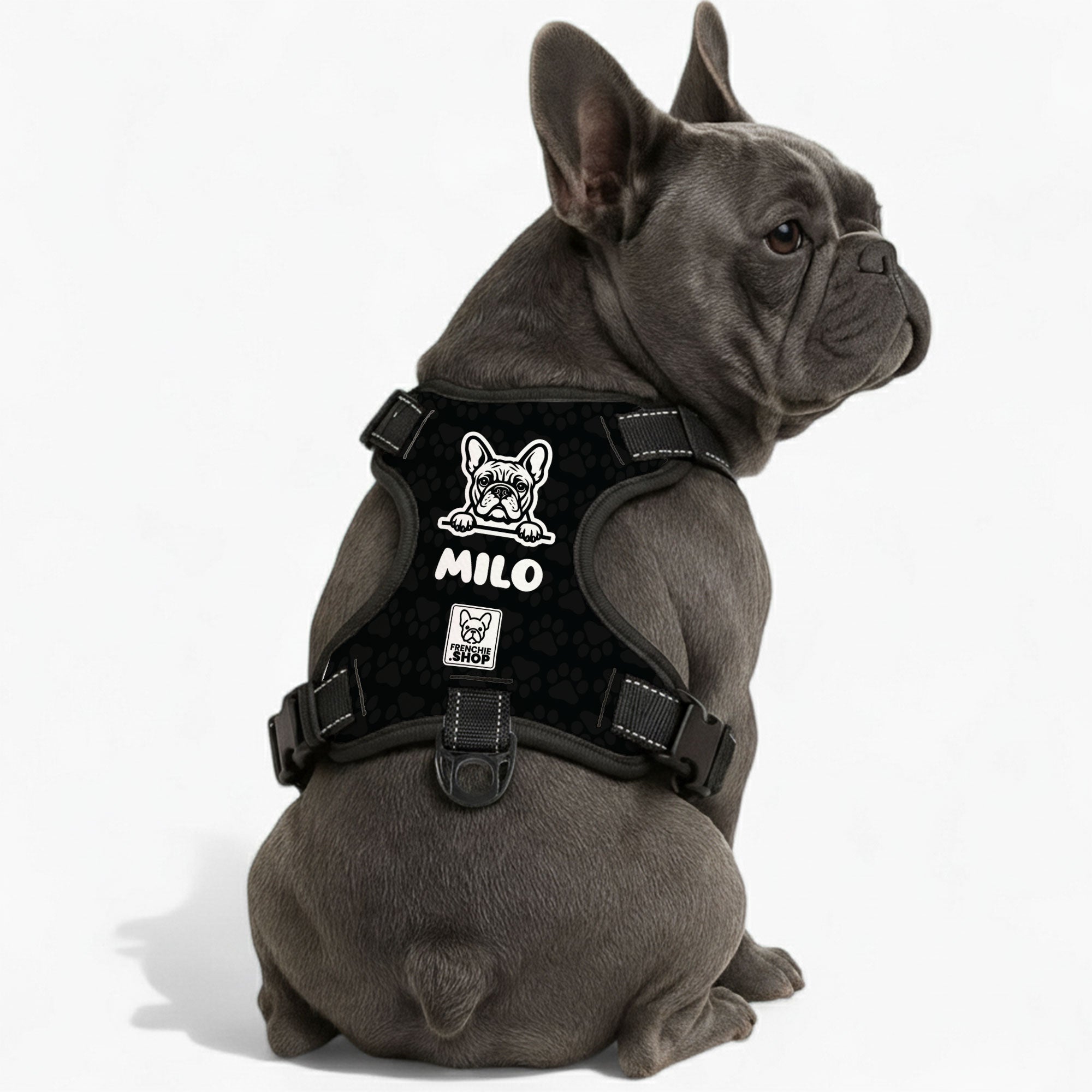 ＊Bulldogと男の子＊ ・ Amazon.com: JEKCA English Bulldog 01S-M03 | Dog Plastic Building