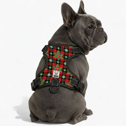 Chanel -  No-Pull French Bulldog Dog Harness