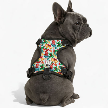 Mila -  No-Pull French Bulldog Dog Harness
