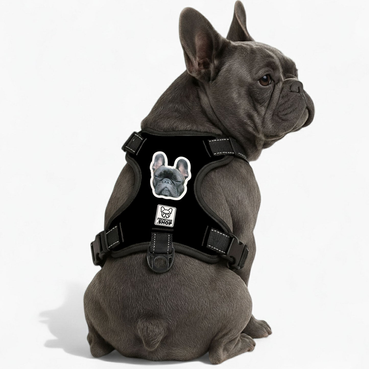 Esther - Personalized No-Pull French Bulldog Dog Harness