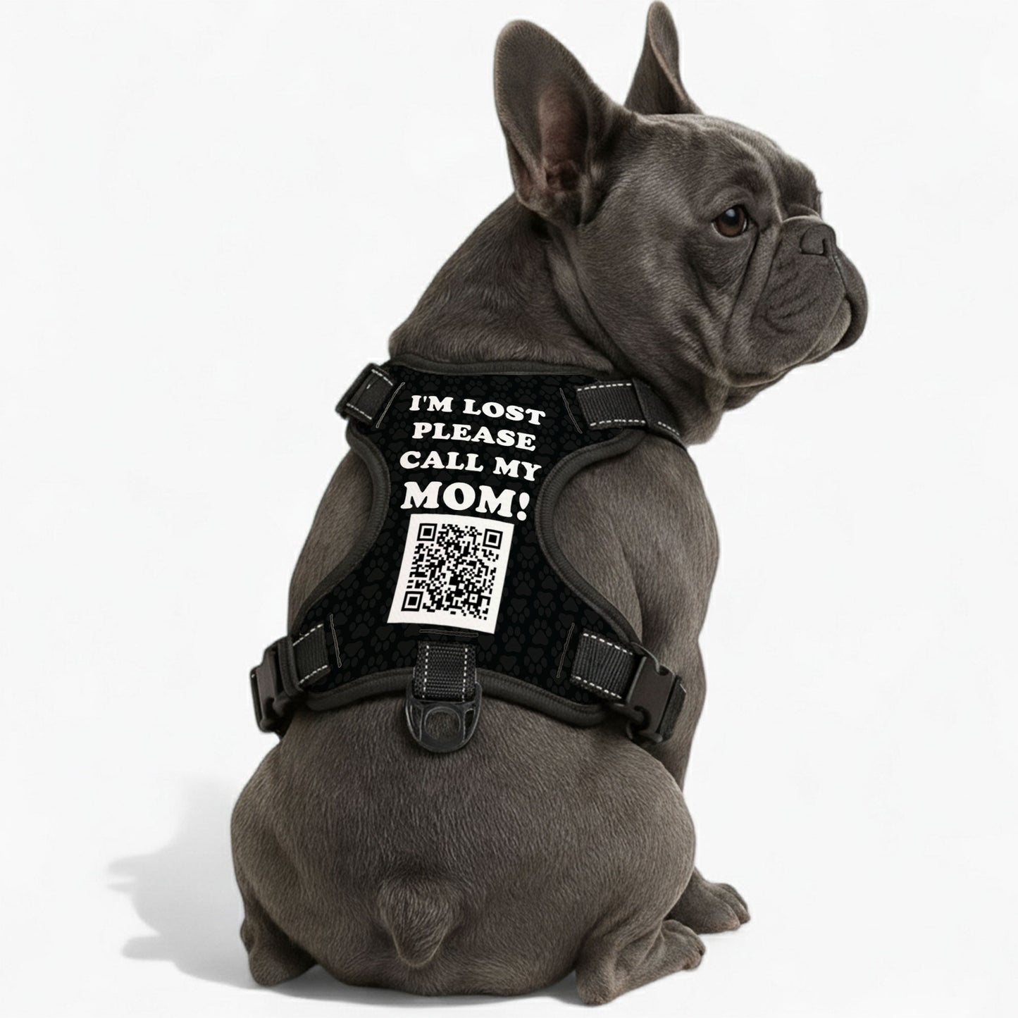 Gus - Personalized No-Pull French Bulldog Dog Harness