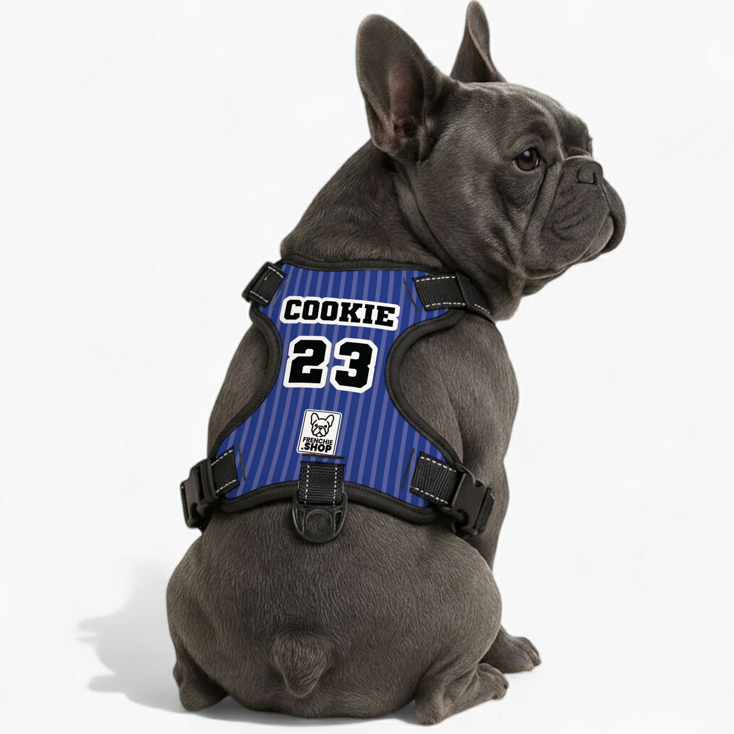 Duchess - Personalized No-Pull French Bulldog Dog Harness