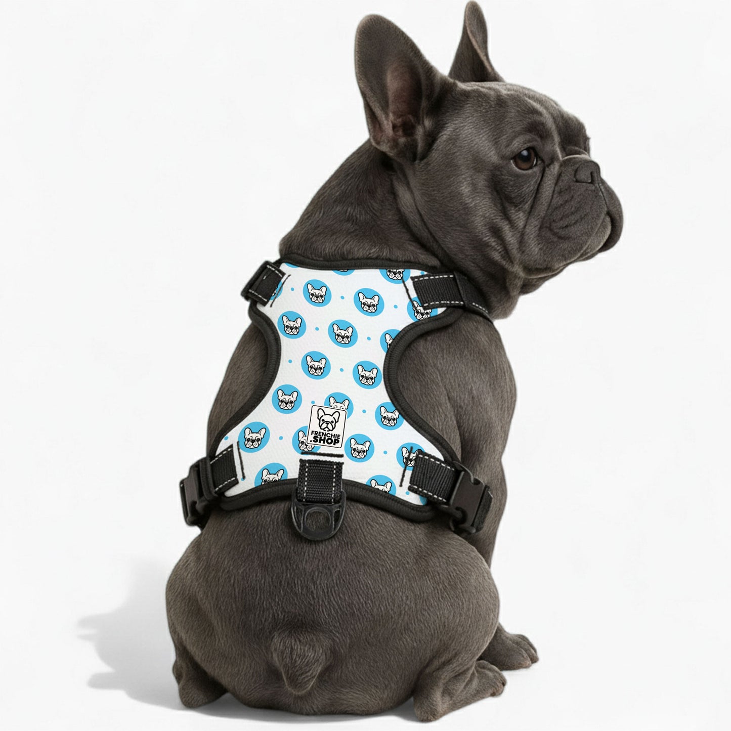 Lionel -  No-Pull French Bulldog Dog Harness