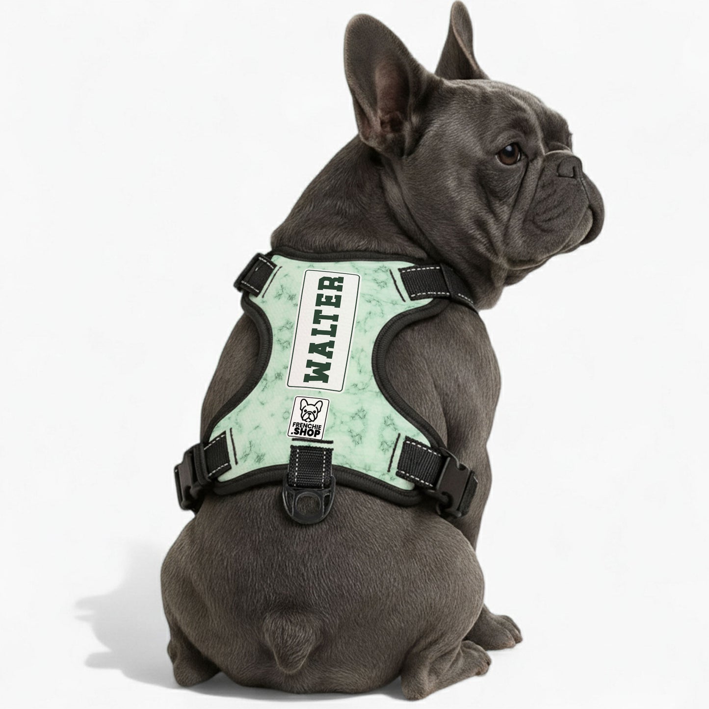 Willow - Personalized No-Pull French Bulldog Dog Harness