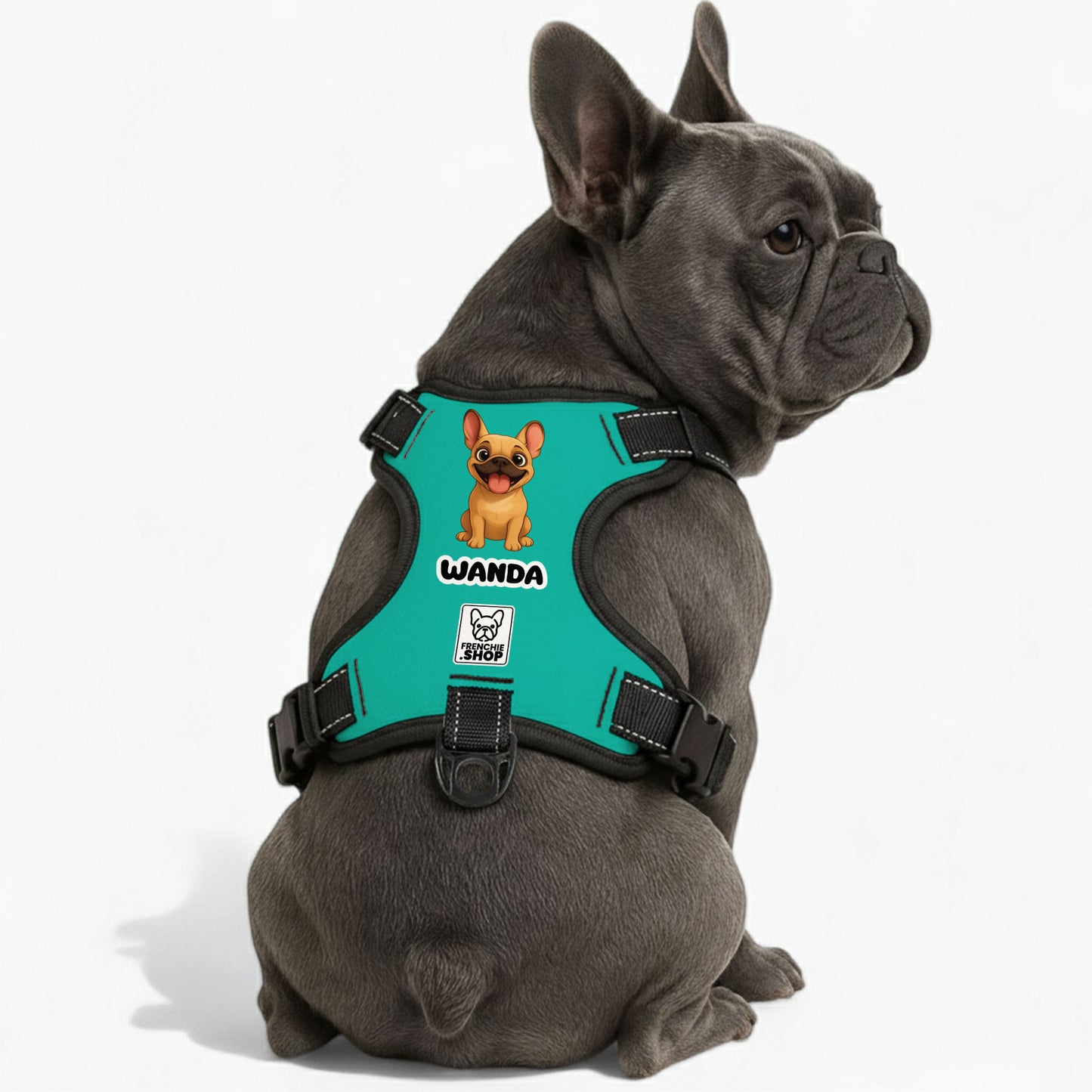 Bun - Personalized No-Pull French Bulldog Dog Harness