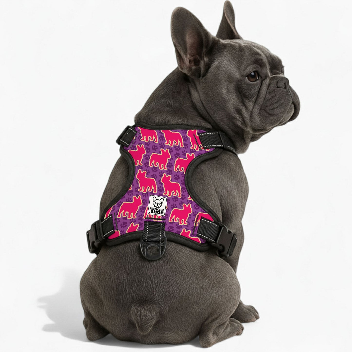 Mansel -  No-Pull French Bulldog Dog Harness