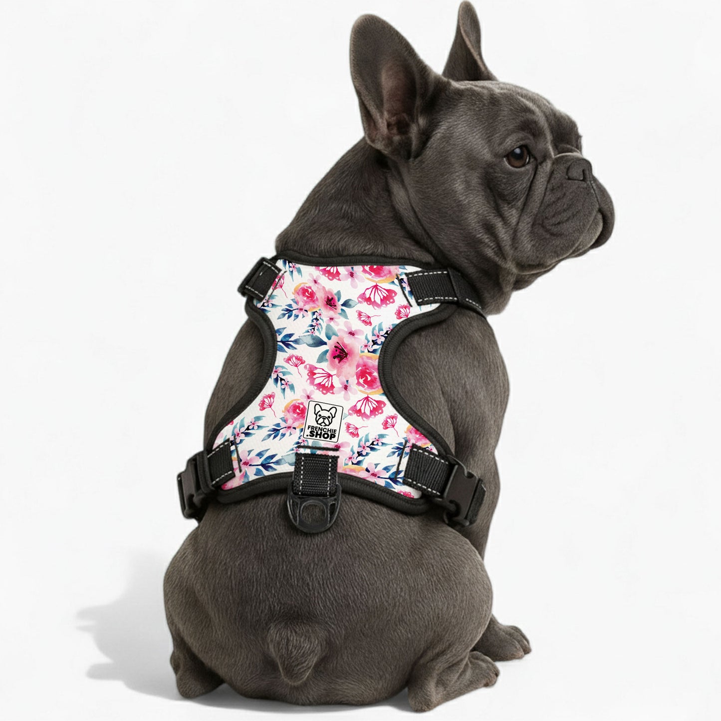 Zinnia -  No-Pull French Bulldog Dog Harness