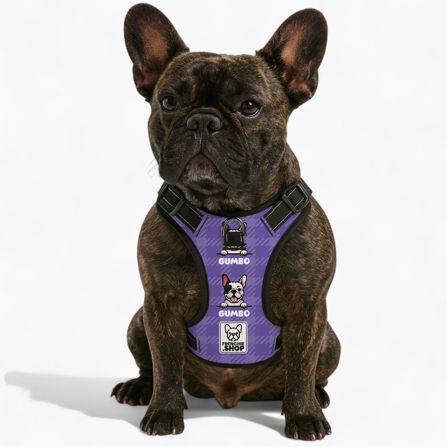 Jaq - Personalized No-Pull French Bulldog Dog Harness