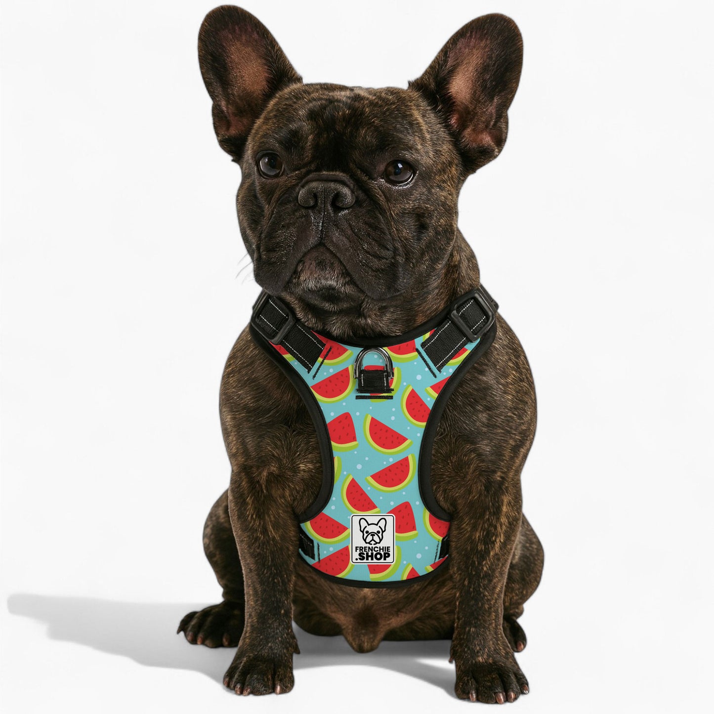 Louis -  No-Pull French Bulldog Dog Harness