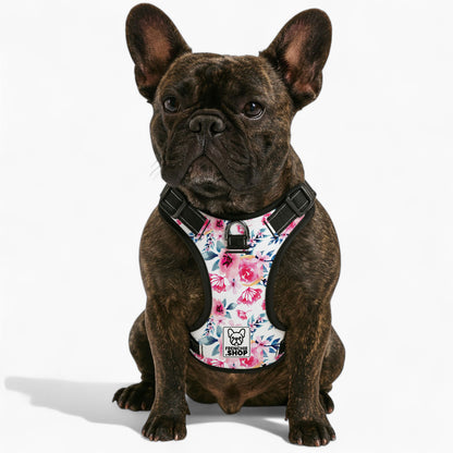 Zinnia -  No-Pull French Bulldog Dog Harness