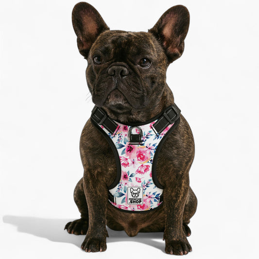 Zinnia -  No-Pull French Bulldog Dog Harness