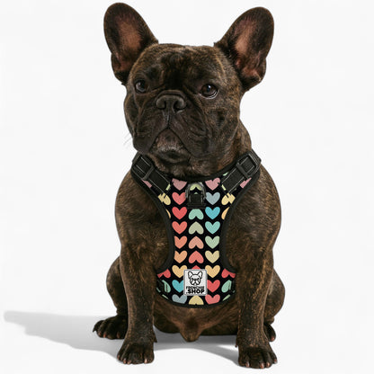 Fontanne -  No-Pull French Bulldog Dog Harness
