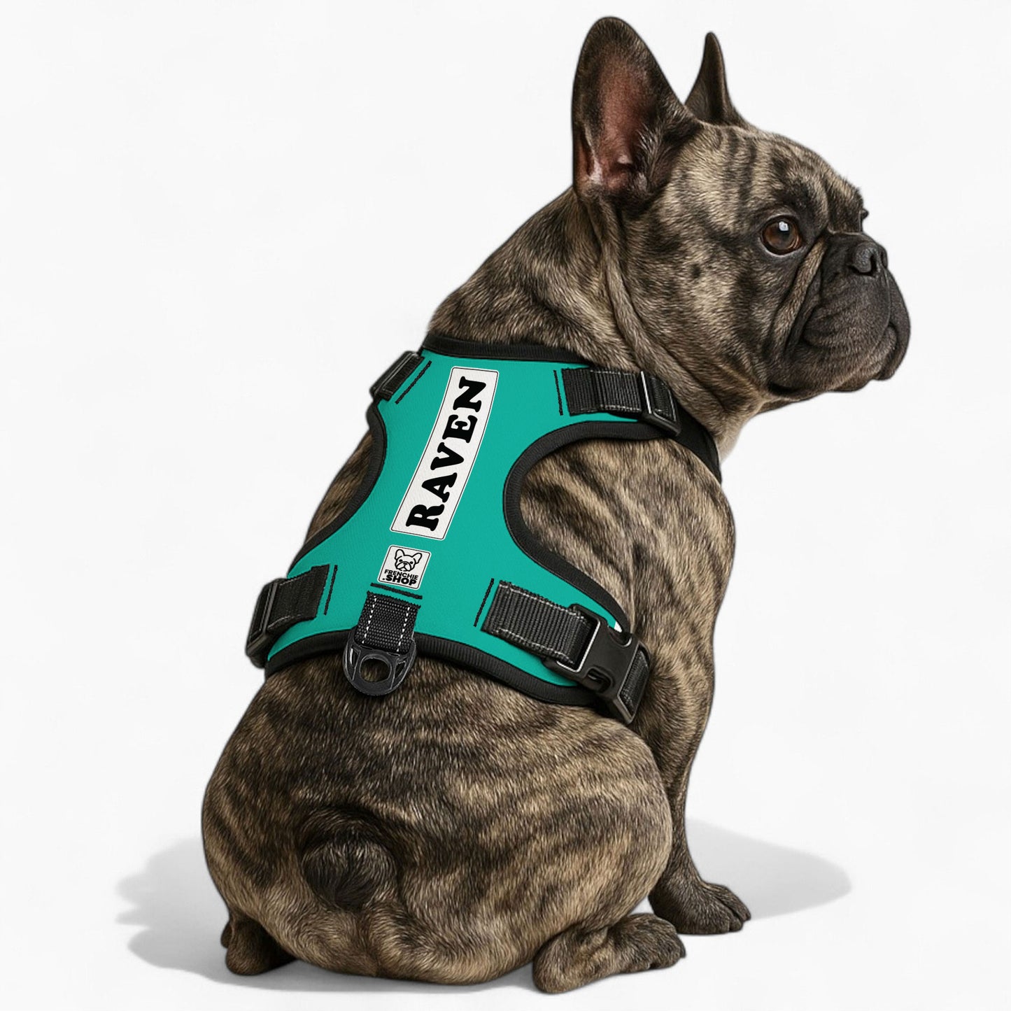 Raven - Personalized No-Pull French Bulldog Dog Harness