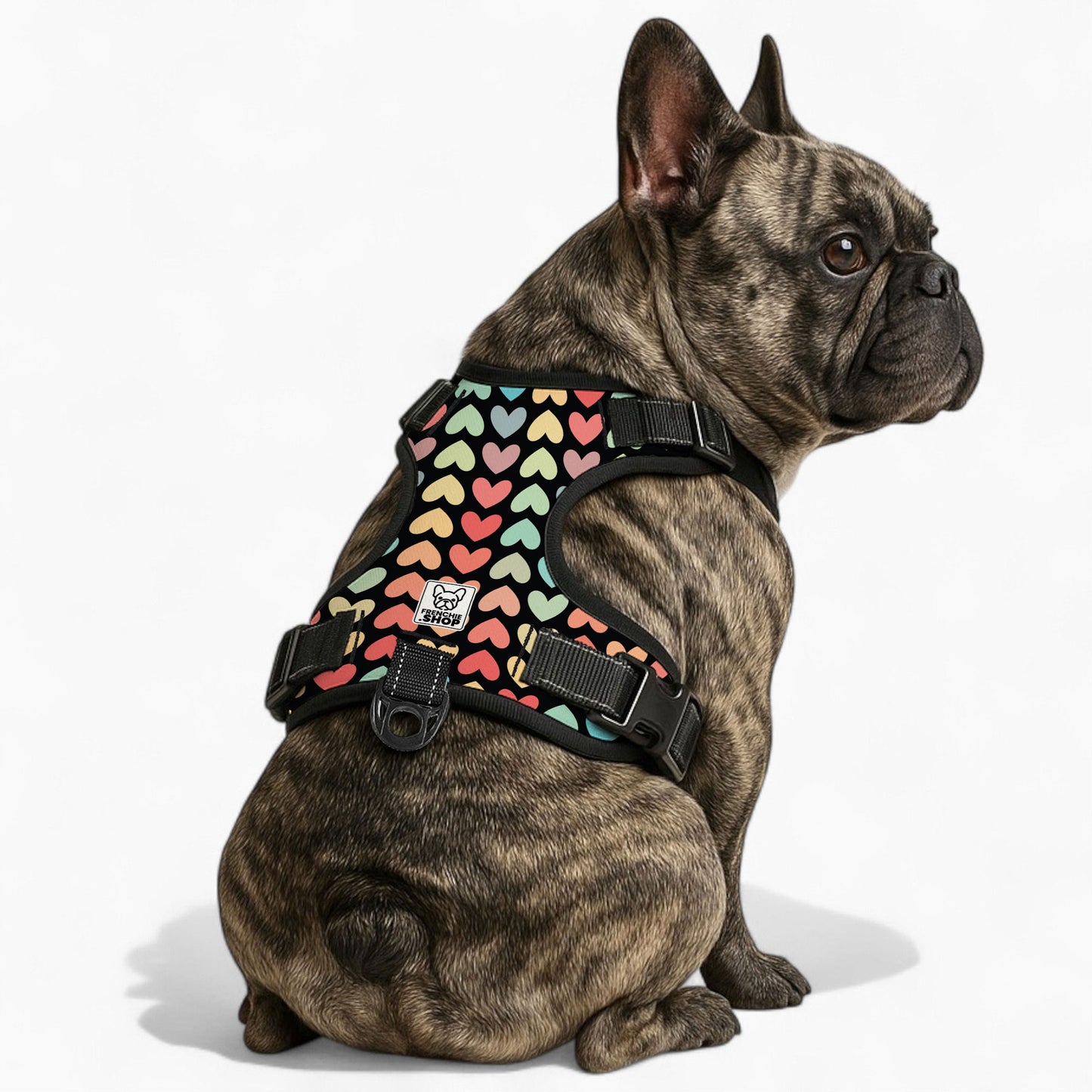 Fontanne -  No-Pull French Bulldog Dog Harness