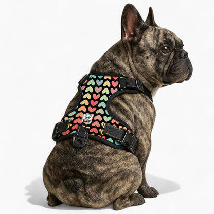 Fontanne -  No-Pull French Bulldog Dog Harness