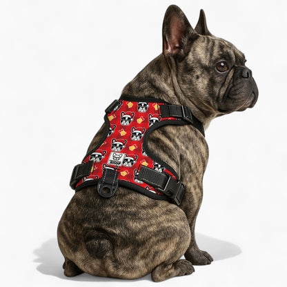Bonnie -  No-Pull French Bulldog Dog Harness