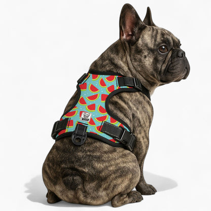 Louis -  No-Pull French Bulldog Dog Harness