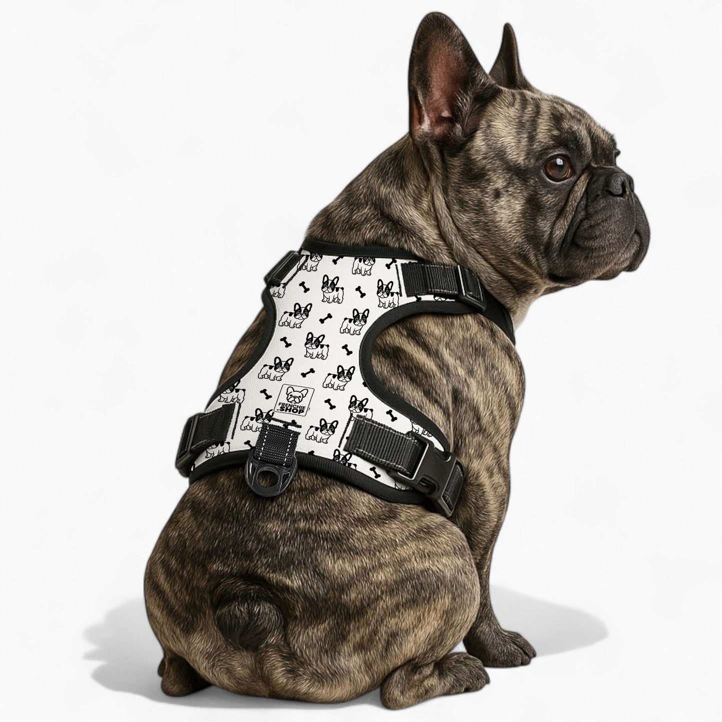 George -  No-Pull French Bulldog Dog Harness